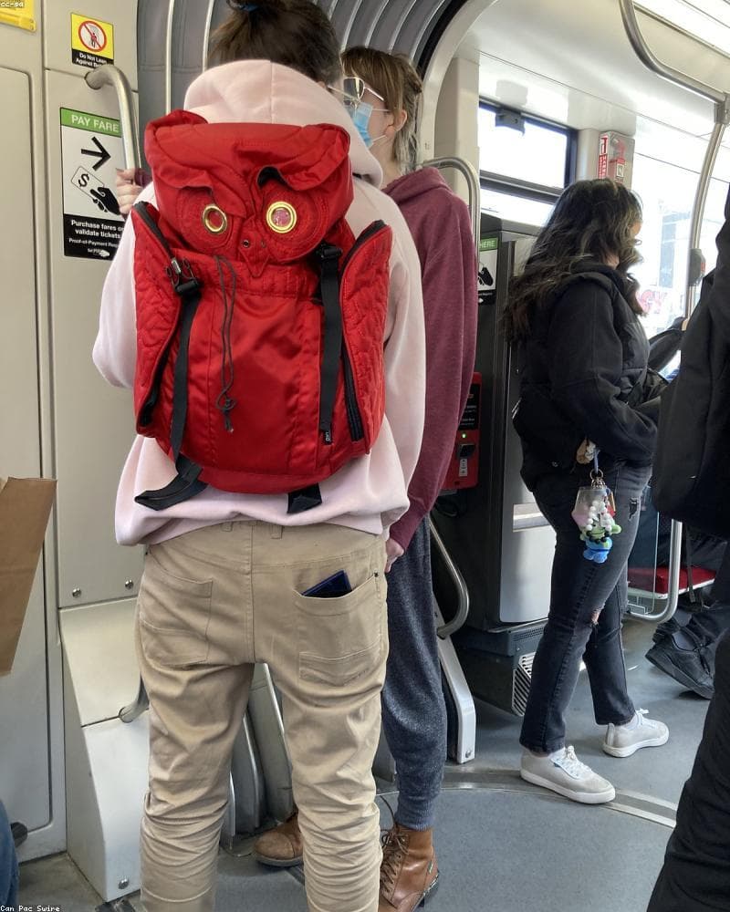 Structured Backpack